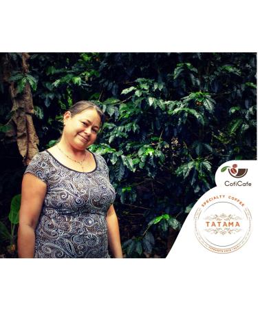 CofiCafe 6 Lbs Specialty Colombian Unroasted Green Coffee - Tatama Valle del Cauca (SCA 87) - Buy Online on SooperMarket.com