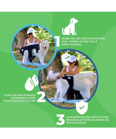 Sailing Trousers for Dogs 2.0 | High-Quality Neoprene Male Diapers - XS Gray - Optimal Air Exchange - Buy Online on SooperMarket.com