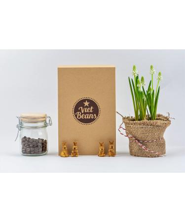 Vietbeans coffee beans try in gift box - four exciting types of coffee for coffee lovers - coffee gift set Whole beans - gift idea coffee - Try 4 x 80g