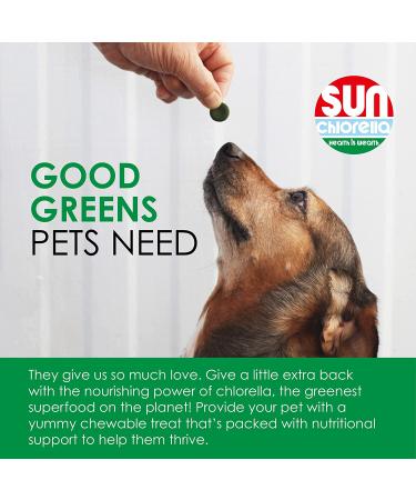 Sun Chlorella Rejuv-A-Wafers - Daily Superfood Supplement for Pets - Immune Defense & Gut Health Support - 60 Wafers - Buy Online on SooperMarket.com