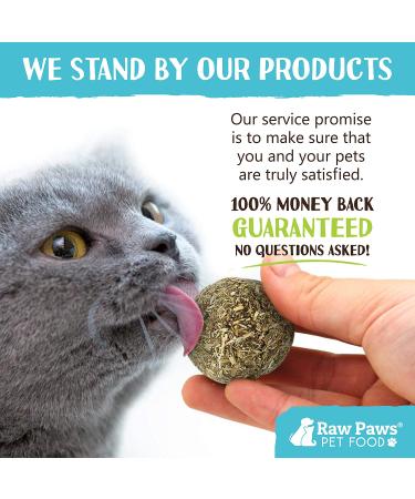 Raw Paws Compressed Catnip Ball Toy 6 Pack for Indoor Cats - All Natural Catnip Interactive Kicker Toy - Catnip Cat Toys for Kitties - Buy Online on SooperMarket.com