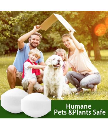 24 Pack Peppermint Oil Rodent Repellent for Cars, Campers, and Indoors - Mouse & Rat Deterrent for Garage - Pet Friendly - Buy Online on SooperMarket.com