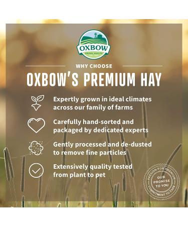 Oxbow Orchard Grass Hay - All Natural Hay for Chinchillas, Rabbits, Guinea Pigs & More - Buy Online on SooperMarket.com