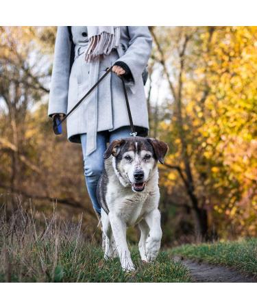 Beaface Retractable Dog Lead for Small Medium Dogs Up to 20KG Retractable Dog Leads 16ft/5M Extendable Dog Leads with Anti-Slip Handle Anti-Tangled Strong Nylon Tape (Blue) - Buy Online on SooperMarket.com