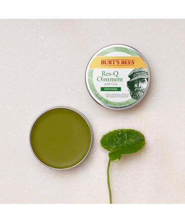 Burt s Bees 100% Natural Res-Q Ointment 15g - Buy Online on SooperMarket.com