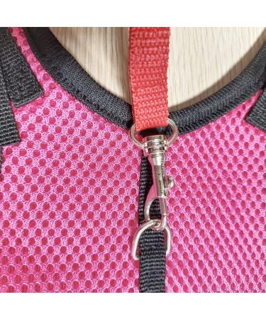 CHIPKART Small Pet Harness No Pulling Comfort Vest Guinea Pig Harness and Leash Set for Ferret Rats Bunny Hamster(L) - Buy Online on SooperMarket.com