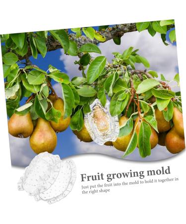 CIYODO Fruits Forming Mould Gardener Small for Creative Buddha Ginseng Shaper Growth Reusable Supply Shaped Growing Forming - Buy Online on SooperMarket.com