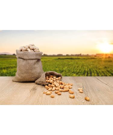 Fruidles Raw Peanuts  Raw Peanuts in Shell  Great for Boiling  Squirrels Feed  Birds Feed and Wildlife  3.5LB Bag (2-Pack) - Buy Online on SooperMarket.com
