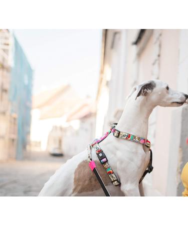 Max & Molly Missy Pop Dog Harness - Odorless Neoprene Comfort & Loss Protection | Shop Internationally - Buy Online on SooperMarket.com