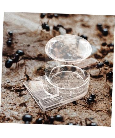Sosoport Pet Water Feeder Clear Ants Feeder Ant Keeper Tools Ant Nest Water Cup Ant Bowl Automatic Ants Feeder Ants Feeding Device Ant Waterer Ant Feeder Ant Nest Entrance Feeder - Buy Online on SooperMarket.com
