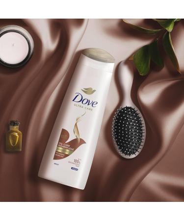 Dove Shampoo Oil Care - Nourishing Solution for Dry Brittle Hair | Bio-Restore Complex | 250ml (6 Pieces) - International Shipping Available - Buy Online on SooperMarket.com