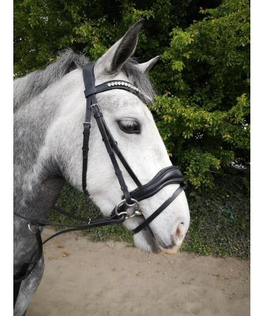 Countrypride ANATOMICAL BRIDLE ABRAM DIAMANTE BROWBAND WITH ANTI SLIP RUBBER REINS BLACK & BROWN Black Pony - Buy Online on SooperMarket.com