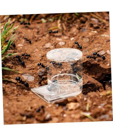 Housoutil Pet Water Feeder Ant Keeper Tools Ant Water Drinking Cup Ant Nest Supplies Ant Keeping Acrylic Basin - Buy Online on SooperMarket.com