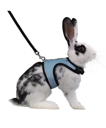 Niteangel Adjustable Soft Harness with Elastic Leash for Rabbits (XL Blue) XL Blue