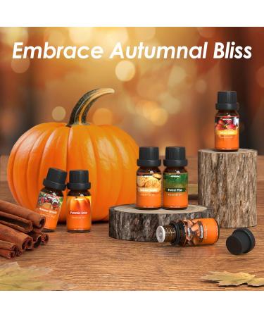 ARVIDSSON Fall Essential Oils Set Autumn Fragrance Oil for Diffusers Candle Making Pumpkin Spice Cinnamon Spiced Cider Autumn Wreath Pine Snickerdoodle Fall Scented Oils for Home - Buy Online on SooperMarket.com