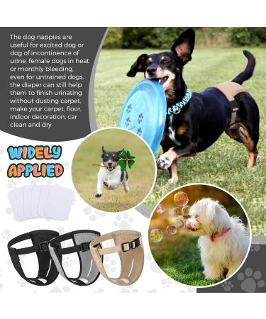 3 Pack Dog Diapers - Adjustable Protective Trousers for Heat & Monthly Bleeding | Washable Dog Pants - Buy Online on SooperMarket.com