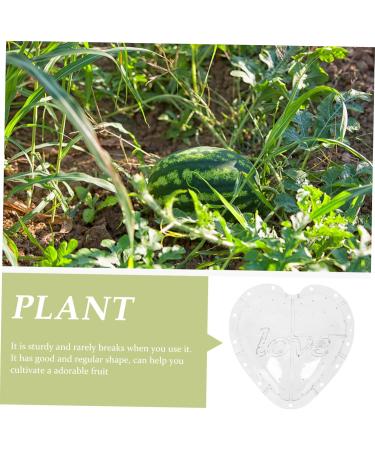OSALADI Plant Plastic Fruit Clear Fruit Yard Fruit Fruit Forming Heart-Shaped Pumpkin - Buy Online on SooperMarket.com