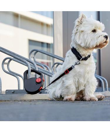 Dogxi 5m Retractable Dog Leash for Small & Medium Dogs - Adjustable Black Belt with Carabiner Perfect for Car Use - 25kg Capacity - Buy Online on SooperMarket.com