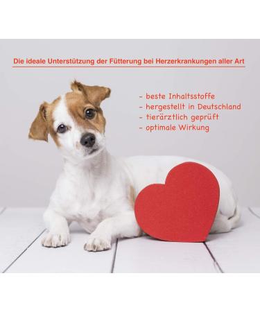 Canimove Doppelpack (200 Capsules) - Veterinary-Approved Support for Heart Function in Large Dog Breeds - Buy Online on SooperMarket.com