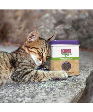 Kong Premium Quality Catnip 1oz Jar - High-Quality Organic Catnip for Cats - Buy Online on SooperMarket.com