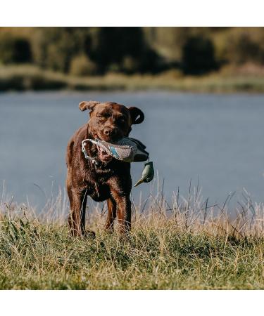 HP & G Home Pets & Garden Apportier Dummy Stockente - 40cm Dog Training Dummy Durable & Robust Ideal for Enhanced Pet Training - Buy Online on SooperMarket.com