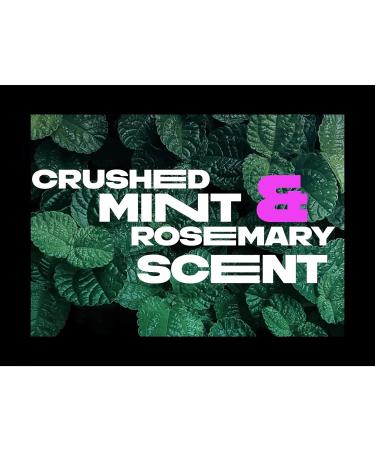 AXE Dual Action Deodorant Stick Phoenix Crushed Mint & Rosemary Men's Deo 3oz Twin Pack - Buy Online on SooperMarket.com