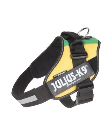 IDC Powerharness Size: XL/2 Lithuanian Colors Lithuanian Colors XL/2
