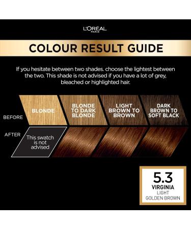 L'Oreal Paris Preference Hair Dye 5.3 Virginia - Long Lasting Luminous Permanent Hair Colour - Buy Online on SooperMarket.com