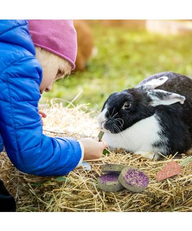Erkoon 24-Piece Rabbit & Small Pet Toys Set | Dental Care Timothy Hay Sticks Carrots & Rose Grass Cake - Ideal for Rabbits Guinea Pigs Hamsters & Chinchillas - Buy Online on SooperMarket.com