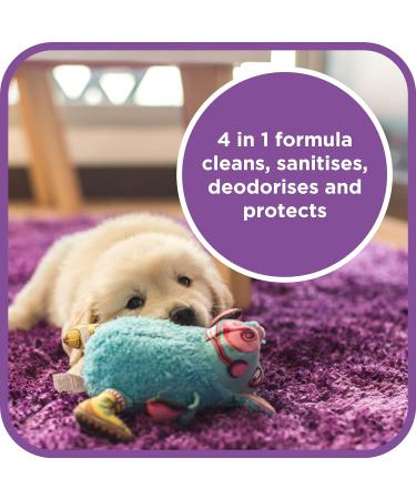 Pet Magic 5 Litre Pet Dog Carpet Cleaning Shampoo Solution | Tough on Stains and Odours | Suitable for all Machines | Fresh Linen Fragrance (1 Pack) - Buy Online on SooperMarket.com