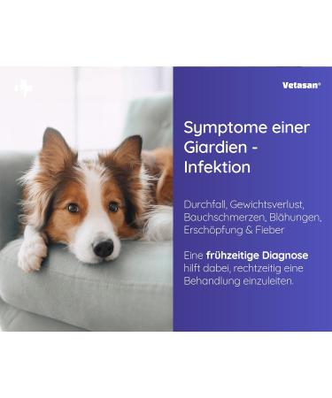 Vetasan 2x Giardia Quick Test for Dogs & Cats | Accurate & Fast Giardia Testing | 98.3% Accuracy - Buy Online on SooperMarket.com