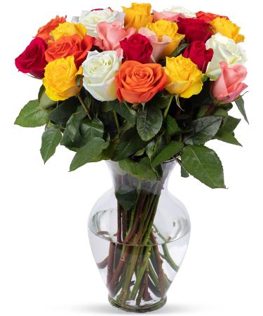 Benchmark Bouquets 2 Dozen Rainbow Roses, With Vase (Fresh Cut Flowers)
