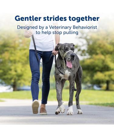 PetSafe Gentle Guide Collar - Beige Medium | Includes Training DVD | International Shipping - Buy Online on SooperMarket.com