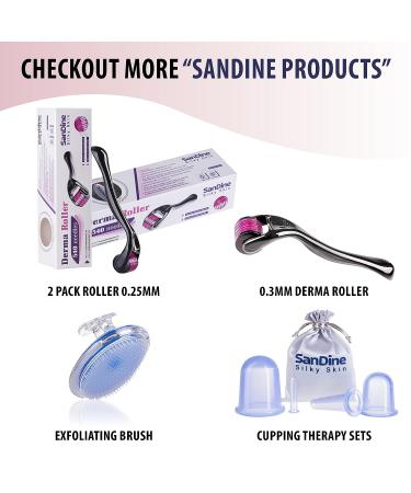 Sandine Microneedle Derma Roller - 540 Titanium Micro Needle Skin Care System (0.3mm) | Promotes Youthful & Radiant Skin | Includes FREE E-Book - Buy Online on SooperMarket.com