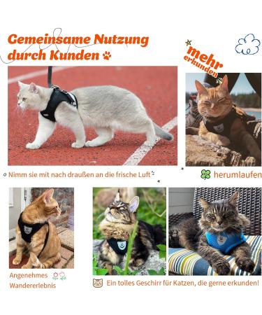 Supet Cat Dishes & Soft Vest Set for Cats & Small Dogs - Adjustable Leash Breakfast Collection Medium (33-38 cm) - Orange - Buy Online on SooperMarket.com