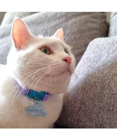 Kittyrama Reflective Cat Pendant - Waterproof & Visible Safety Accessory for Cats | Stylish Designs Available - Buy Online on SooperMarket.com