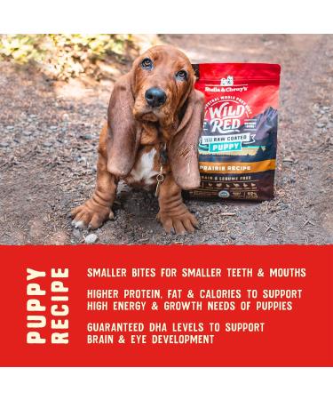 Stella & Chewy's Wild Red Dry Dog Food for Puppies 3.5lb - Grain & Legume Free Kibble - Buy Online on SooperMarket.com