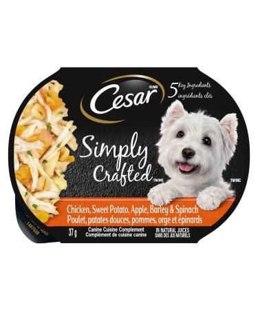 Cesar Simply Crafted Adult Wet Dog Food Chicken Sweet Potato Apple Barley & Spinach 37g Pack of 10