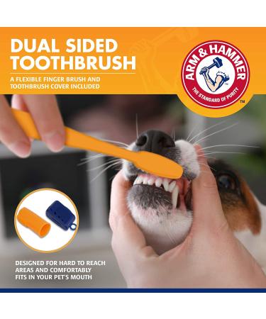 Arm & Hammer Tartar Control Dental Kit for Dogs - Banana Mint Flavor - Buy Online on SooperMarket.com