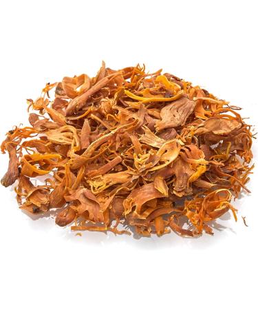 Old India Mace Blades 25g - Exotic and Aromatic Spice - Pack of 1 - Buy Online on SooperMarket.com