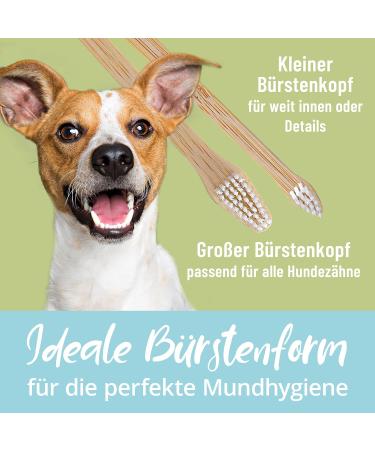 Buy Bamboo Toothbrush for Dogs & Cats - 2 Pack | 100% BPA-Free Dental Care for Clean Teeth & Environment - Buy Online on SooperMarket.com