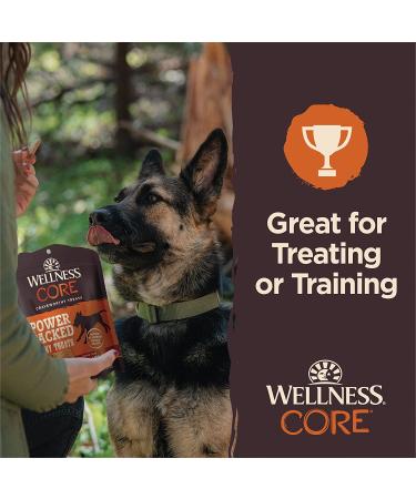 Wellness CORE Pure Rewards Chicken & Lamb Jerky Bites - Grain-Free Dog Treats, 4 oz - Buy Online on SooperMarket.com