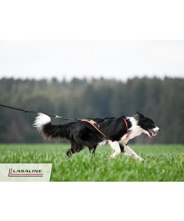 LASALINE XL Dog Harness X Back - Ideal for Canicross Dogscooter Bikejoring & Sled in Black Neon Orange - International Shipping Available - Buy Online on SooperMarket.com