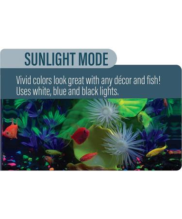 GloFish 4-mode Cycle Light for 20 Gallon Interactive Aquariums - Buy Online on SooperMarket.com