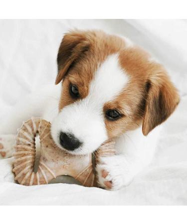 Benebone Puppy Dog Chew Toy - Made in USA Tiny 2-Pack - Dental Chew/Wishbone for Modest Chewers - Buy Online on SooperMarket.com