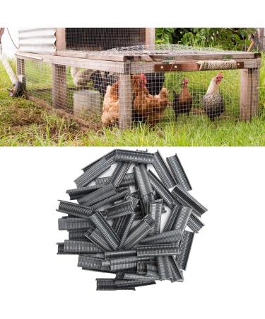 M Nails Durable Cage Staple Not Reusable Economical And Practical for Foxes Cages Home - Buy Online on SooperMarket.com