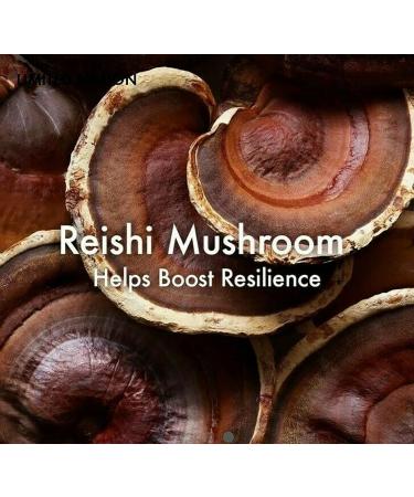 Mega Mushroom Relief & Resilience: Boost Your Skin's Strength and Soothe Irritation - Buy Online on SooperMarket.com