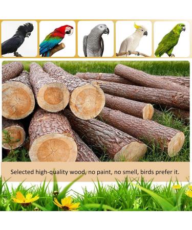 Holzsammlung Bird Playground Wooden Parrot Stand Bird Play Stand Parrot Perch Stand with Ladder Bird Play Gym Toy Cage Accessories for Small Middle Parakeets Cockatiels Finches Budgie Lovebirds #17 - Buy Online on SooperMarket.com