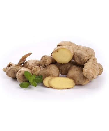 Quast Horseradish 2nd Class Fresh Ginger | Ideal for tea or as feed for horses | Small roots ( 50 g)