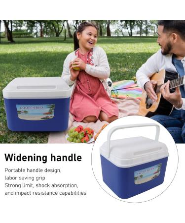 Insulin Cooler Box 5L Portable Insulin Cooling Travel Bin for Outdoor Medicition Food (Blue) - Buy Online on SooperMarket.com